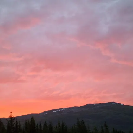 公寓 Eidekollen 特罗姆瑟