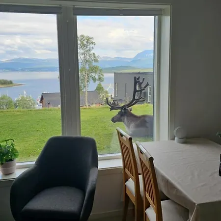 Apartamento Eidekollen