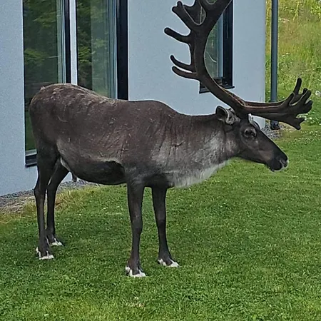 Eidekollen Apartamento Tromsø