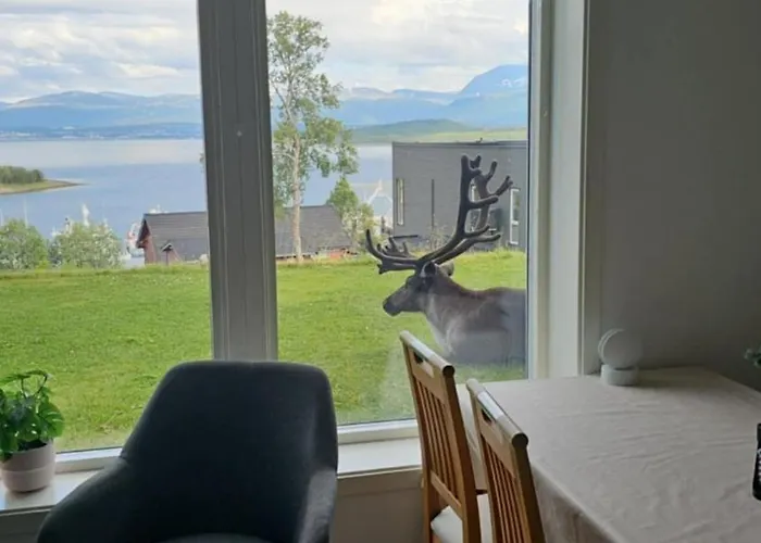 Lägenhet Eidekollen